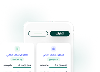 استراتيجية الصندوق